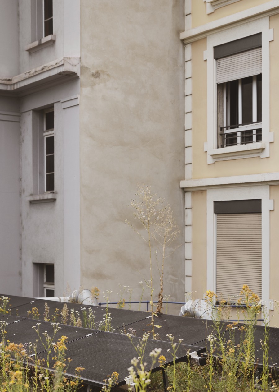 260625_hd_albertinejuliemasson-4_web.jpg