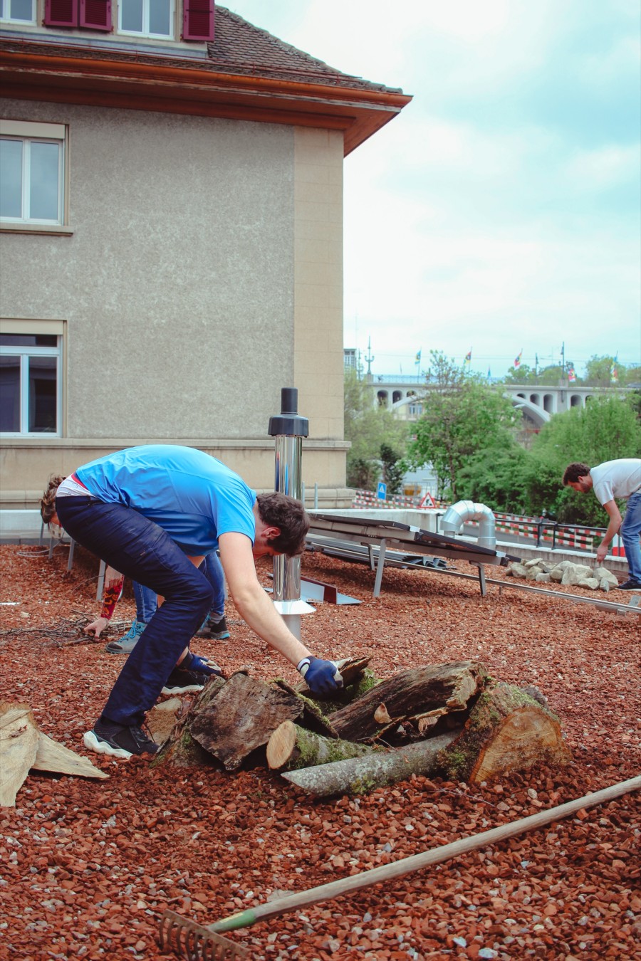 241016_jardin-sauvage_bureaumilieux-12.jpg