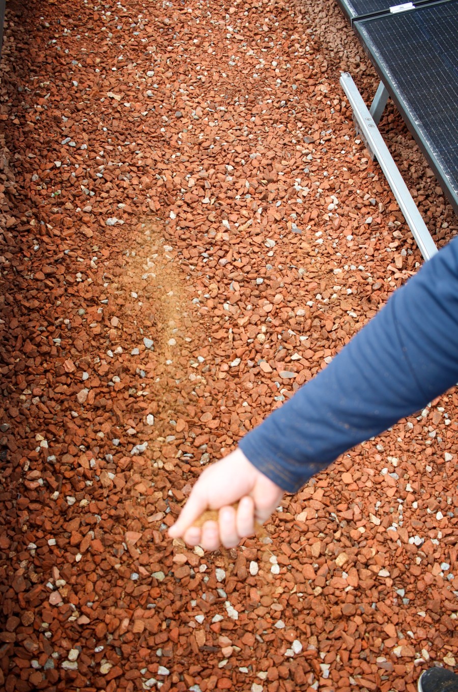 241016_jardin-sauvage_bureaumilieux-03.jpg