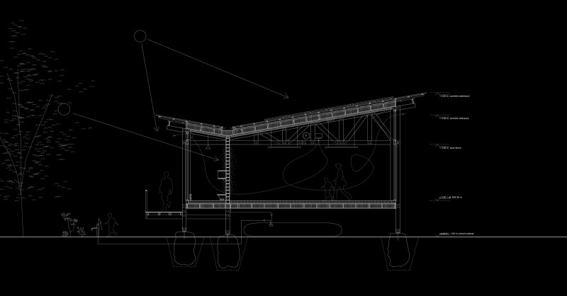 50-coupe_neg_web.jpg