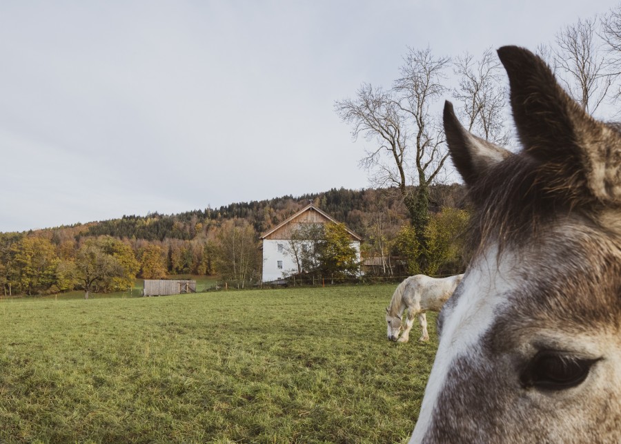 221111_hd_cooperative_attalens_juliemasson-5139_web.jpg